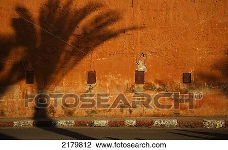 A shadow of a palm tree on a wall in the Mellah; Marrakesh, Morocco View Large Photo Image Stock Image - A shadow of a palm tree on a wall in the Mellah; Marrakesh, Morocco. Fotosearch