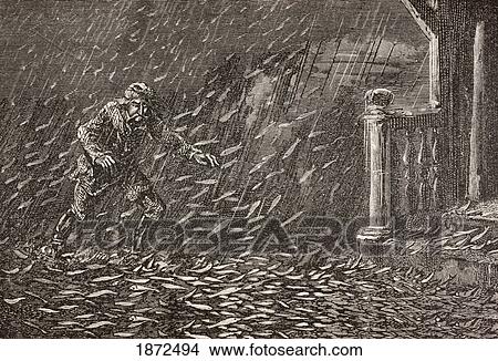 A Shower Of Fish In Transylvania, Romania. From The Book Chips From The Earth's Crust Published 1894. View Large Photo Image Picture - A Shower Of Fish In Transylvania, Romania. From The Book Chips From The Earth's Crust Published 1894.. Fotosearch