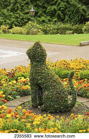 Stock Image - A Shrub Trimmed Into The Shape Of A Cat At Belfast Castle; Belfast, Ireland. Fotosearch