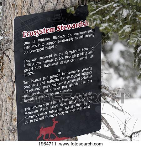 A Sign About Ecosystem Stewardship Posted On A Tree; Whistler British Columbia Canada View Large Photo Image Stock Image - A Sign About Ecosystem Stewardship Posted On A Tree; Whistler British Columbia Canada. Fotosearch