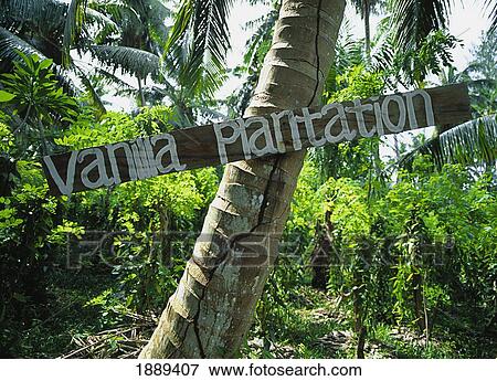 Stock Photo - A Sign For A Vanilla Plantation At L'union Estate On La Digue Island.. Fotosearch