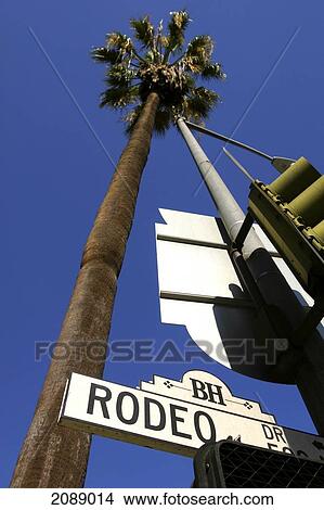 A Sign For Rodeo Drive And A Palm Tree In Beverly Hills; Los Angeles California United States Of America View Large Photo Image Picture - A Sign For Rodeo Drive And A Palm Tree In Beverly Hills; Los Angeles California United States Of America. Fotosearch