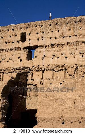 Stock Image - A single stork on the walls of the ruined Badi Palace; Marrakesh, Morocco. Fotosearch