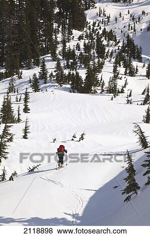 Stock Photo - A Skier Ascending The Trail Enroute To Edwards Lake Cabin And Mount Steele Cabin In Tetrahedron Provincial Park; British Columbia Canada. Fotosearch