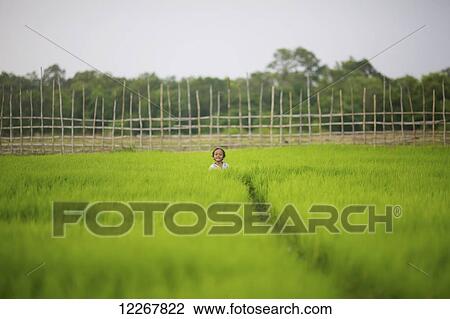 A small Bunong child standing in tall lush grass; Mondulkiri, Cambodia View Large Photo Image Stock Image - A small Bunong child standing in tall lush grass; Mondulkiri, Cambodia. Fotosearch