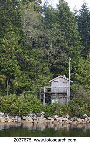 A Small Cabin Near Hot Spring Cove In Clayoquot Sound Near Tofino; British Columbia Canada View Large Photo Image Stock Photography - A Small Cabin Near Hot Spring Cove In Clayoquot Sound Near Tofino; British Columbia Canada. Fotosearch