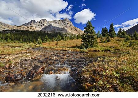 A Small Stream Enroute To Baker Lake Flows Through The Skoki Wilderness In Banff National Park; Banff Alberta Canada View Large Photo Image Stock Photograph - A Small Stream Enroute To Baker Lake Flows Through The Skoki Wilderness In Banff National Park; Banff Alberta Canada. Fotosearch