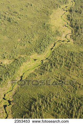 Stock Image - A Small Stream Meanders Through The Boreal Forest In Nahanni National Park Reserve; Northwest Territories, Canada. Fotosearch