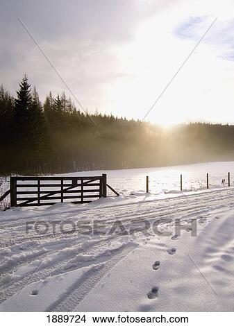 Picture - A Snowy Track Beside Field On Edge Of Woodland. Fotosearch