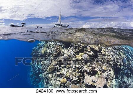 Stock Image - A split scene of the live-aboard dive vessel, Naia, and it's two dive tenders over the reef known as Mount Mutiny; Fiji. Fotosearch