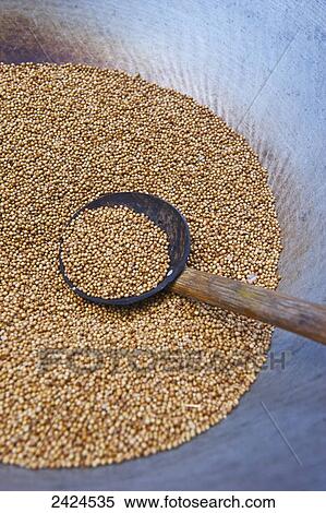 Stock Photography - A spoon in a bowl of grain; Ulpotha, Embogama, Sri Lanka. Fotosearch