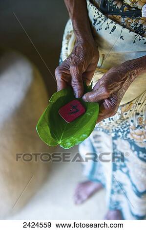 A Sri Lankan woman holds a leaf with a number four tag inside; Ulpotha, Embogama, Sri Lanka View Large Photo Image Stock Photo - A Sri Lankan woman holds a leaf with a number four tag inside; Ulpotha, Embogama, Sri Lanka. Fotosearch