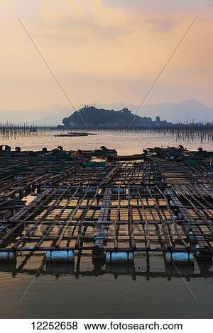 A structure made by posts and ropes to hang fishing nets; Xiapu, Fujian, China View Large Photo Image Stock Photo - A structure made by posts and ropes to hang fishing nets; Xiapu, Fujian, China. Fotosearch