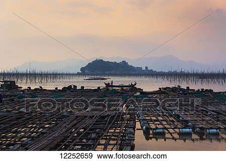 Stock Photo - A structure made by posts and ropes to hang fishing nets; Xiapu, Fujian, China. Fotosearch