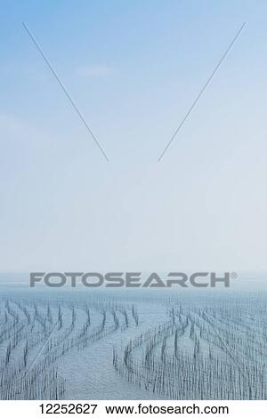 Stock Photo - A structure made of posts in the water for hanging fishing nets to dry; Xiapu, Fujian, China. Fotosearch