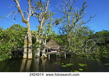 Picture - A structure with thatched roof and stilts along the shoreline; Ulpotha, Embogama, Sri Lanka. Fotosearch
