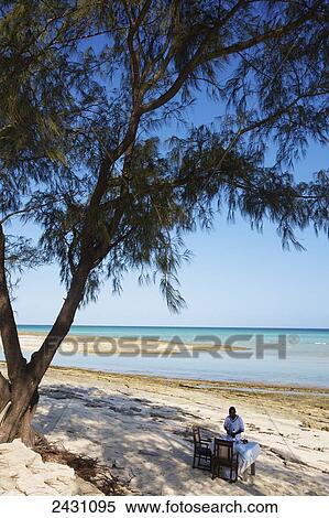Stock Photography - A table set for a meal on the beach in the shade of a tree; Vamizi Island, Mozambique. Fotosearch