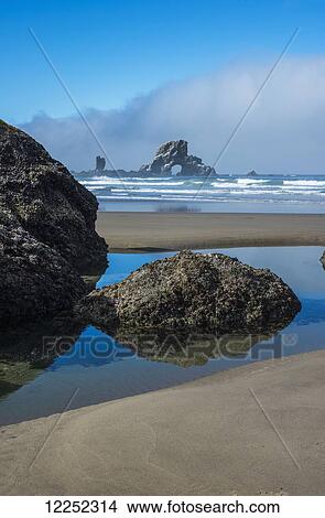 A tide pool reflects the sky; Cannon Beach, Oregon, United States of America View Large Photo Image Picture - A tide pool reflects the sky; Cannon Beach, Oregon, United States of America. Fotosearch