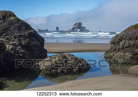 A tide pool reflects the sky; Cannon Beach, Oregon, United States of America View Large Photo Image Stock Image - A tide pool reflects the sky; Cannon Beach, Oregon, United States of America. Fotosearch