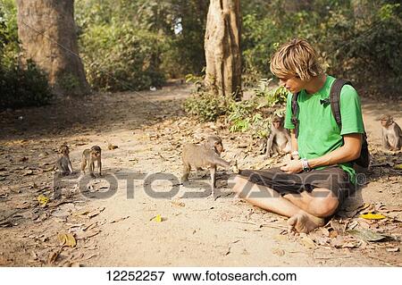 A tourist plays with the wild monkeys that live in the Monkey Forest, located in the Xe Champhone region; Laos View Large Photo Image Stock Photo - A tourist plays with the wild monkeys that live in the Monkey Forest, located in the Xe Champhone region; Laos. Fotosearch