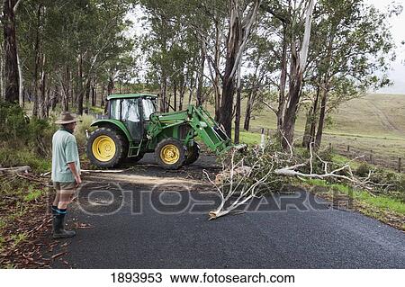Stock Image - A Tractor Removing Debris From Fallen Tree Branches On The Road In Hinterland; Gold Coast, Queensland, Australia. Fotosearch