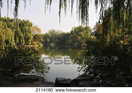 Stock Image - A Tranquil Pond With A Reflection Of Trees; Beijing China. Fotosearch