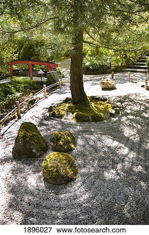 A Tree In A Japanese Rock Garden; Victoria, British Columbia, Canada View Large Photo Image Stock Photo - A Tree In A Japanese Rock Garden; Victoria, British Columbia, Canada. Fotosearch