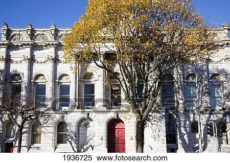 Stock Photography - A Tree Stands In Front Of A Building With A Red Door; Cork City County Cork Ireland. Fotosearch