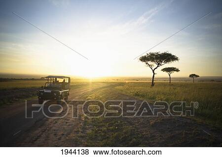 A Vehicle Drives Down A Dirt Road At Sunset; Kenya Africa View Large Photo Image Stock Photo - A Vehicle Drives Down A Dirt Road At Sunset; Kenya Africa. Fotosearch
