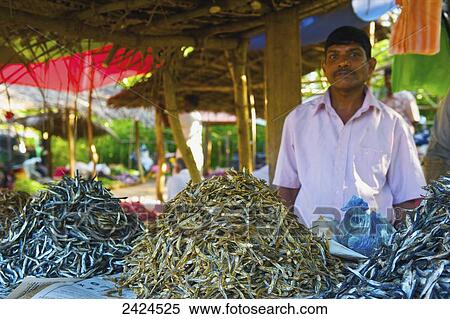A vendor stands at a stall selling small fish; Ulpotha, Embogama, Sri Lanka View Large Photo Image Stock Photography - A vendor stands at a stall selling small fish; Ulpotha, Embogama, Sri Lanka. Fotosearch