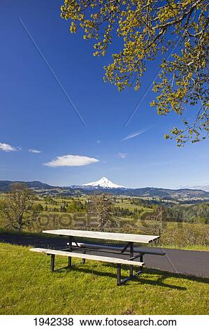 Stock Photo - A View Of Mount Hood From Panorama Park And Hood River Valley; Oregon United States Of America. Fotosearch