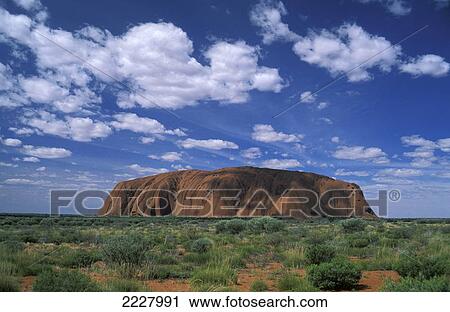 A View Of Uluru (Ayres Roack) Across The Desert Scrublands, Australia. View Large Photo Image Stock Image - A View Of Uluru (Ayres Roack) Across The Desert Scrublands, Australia.. Fotosearch