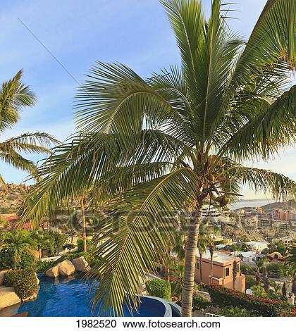 A Villa In The Pedregal Area; Cabo San Lucas Baja California Sur Mexico View Large Photo Image Stock Image - A Villa In The Pedregal Area; Cabo San Lucas Baja California Sur Mexico. Fotosearch