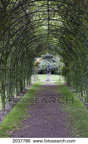 Stock Photograph - A Walkway Covered With A Trellis; Borders Scotland. Fotosearch