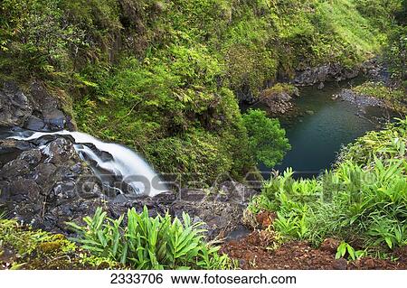 Stock Photograph - A waterfall along the road to Hana; Maui, Hawaii, United States of America. Fotosearch