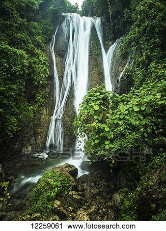A waterfall and lush foliage; Tanna Island, Vanuatu View Large Photo Image Stock Image - A waterfall and lush foliage; Tanna Island, Vanuatu. Fotosearch