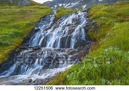 Stock Photograph - A waterfall surrounded by green tundra in Kenai Fjords National Park; Alaska, United States of America. Fotosearch