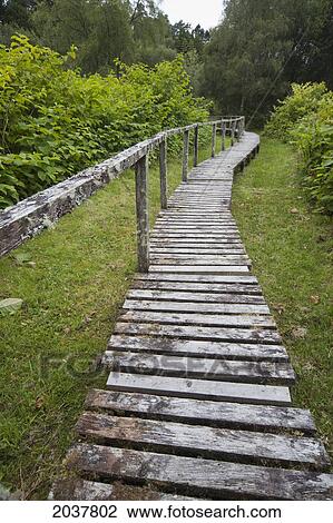 A Weathered Boardwalk And Railing; Argyll Scotland View Large Photo Image Stock Image - A Weathered Boardwalk And Railing; Argyll Scotland. Fotosearch