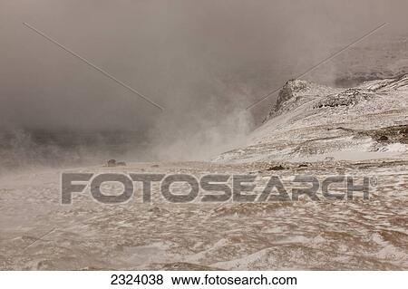 Stock Photo - A wintery look at a remote fjord; Westfjords, Iceland. Fotosearch