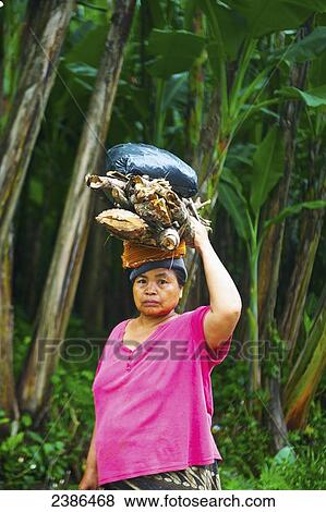 Stock Photo - A woman carries a variety of items on the top of her head; Bali, Indonesia. Fotosearch
