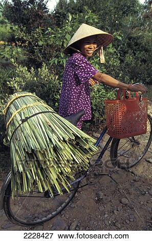 Stock Photo - A Woman Carrying Bamboo. Hanoi, Vietnam. Fotosearch