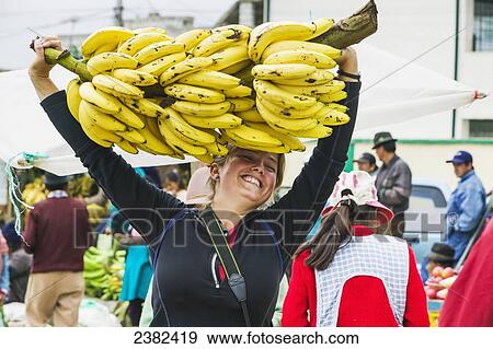A woman holding a large bundle of bananas at the Saquisili market; Saquisili, Ecuador View Large Photo Image Stock Photo - A woman holding a large bundle of bananas at the Saquisili market; Saquisili, Ecuador. Fotosearch