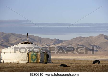 A woman in front of a yurt; Kharkhorin, Mongolia View Large Photo Image Stock Image - A woman in front of a yurt; Kharkhorin, Mongolia. Fotosearch