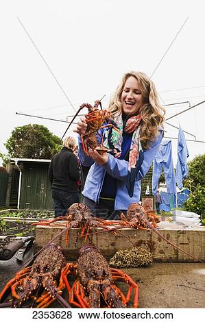 Stock Photo - A Woman Plays With Freshly Caught Crayfish; Kaikoura, New Zealand. Fotosearch