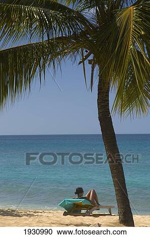 Stock Image - A Woman Sunbathing Near A Palm Tree On Magazine Beach; Carriacou Island, Grenada. Fotosearch