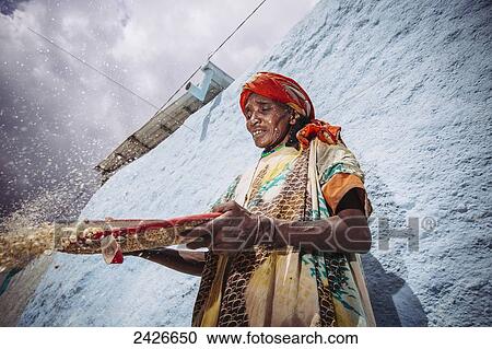 A woman winnowing grain in the back streets; Harar, Ethiopia View Large Photo Image Stock Image - A woman winnowing grain in the back streets; Harar, Ethiopia. Fotosearch