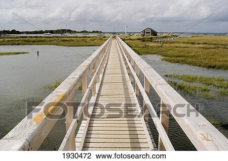 A wooden boardwalk leads over the water; Isle of Wight, England View Large Photo Image Stock Image - A wooden boardwalk leads over the water; Isle of Wight, England. Fotosearch