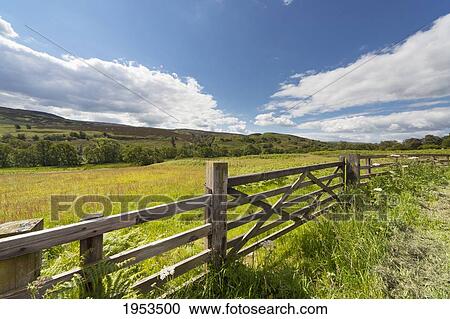 Stock Image - A Wooden Fence Along The Edge Of A Field; Northumberland England. Fotosearch