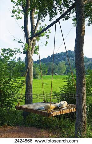 Stock Photograph - A wooden swing hanging from a tree with a lush green field in the background; Ulpotha, Embogama, Sri Lanka. Fotosearch