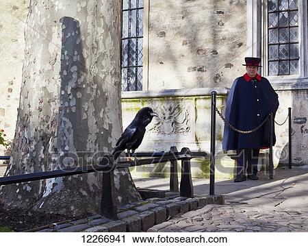 Stock Image - A Yeoman Warder and a guardian raven keep watch at the Tower of London; London, England. Fotosearch